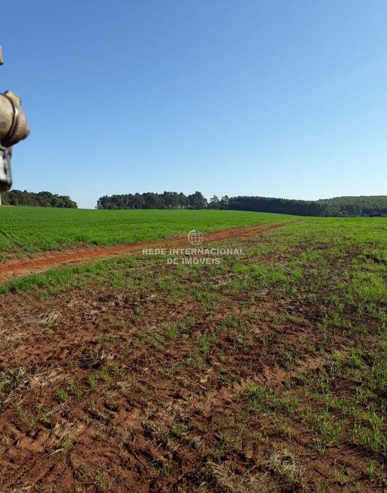 Farm Ranch in Itaberá, State of São Paulo, Brazil 4 - 16174858