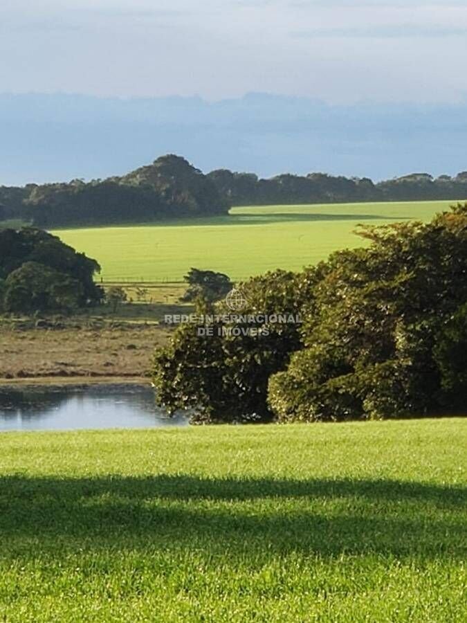 Farm Ranch in Rio de Janeiro, State of Rio de Janeiro, Brazil 4 - 16175388