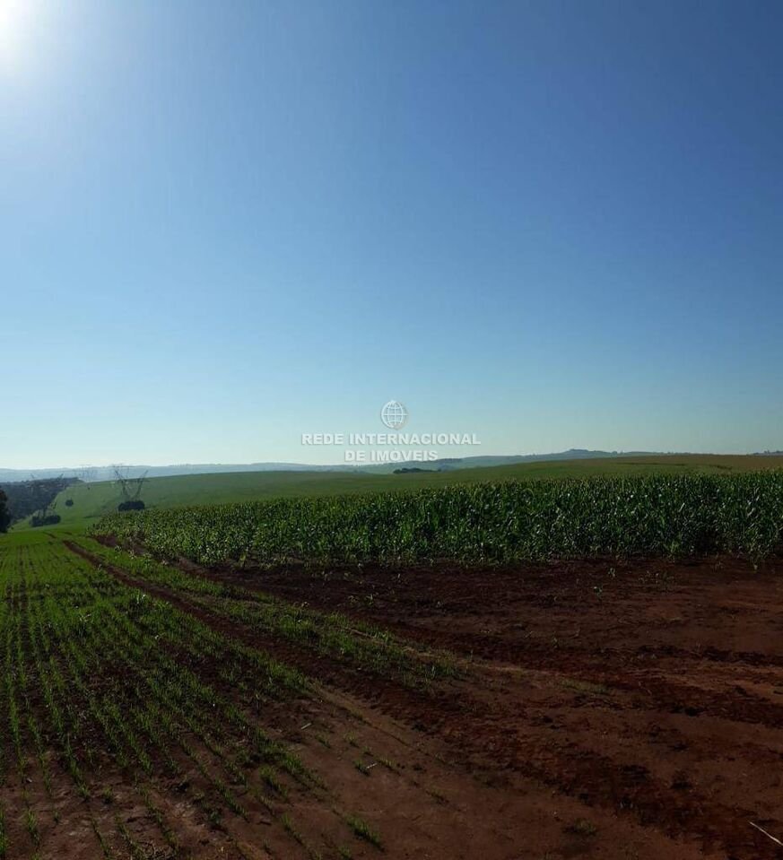 Farm Ranch in Itaberá, State of São Paulo, Brazil 3 - 16174858