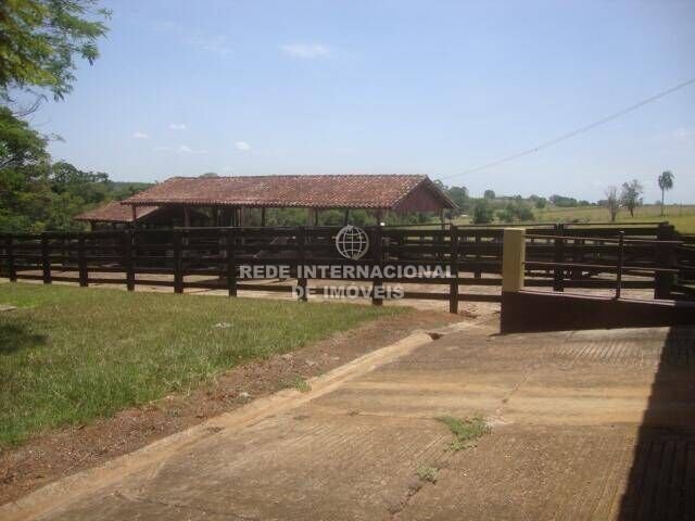 Farm Ranch in Quadra, State of São Paulo, Brazil 3 - 16174529