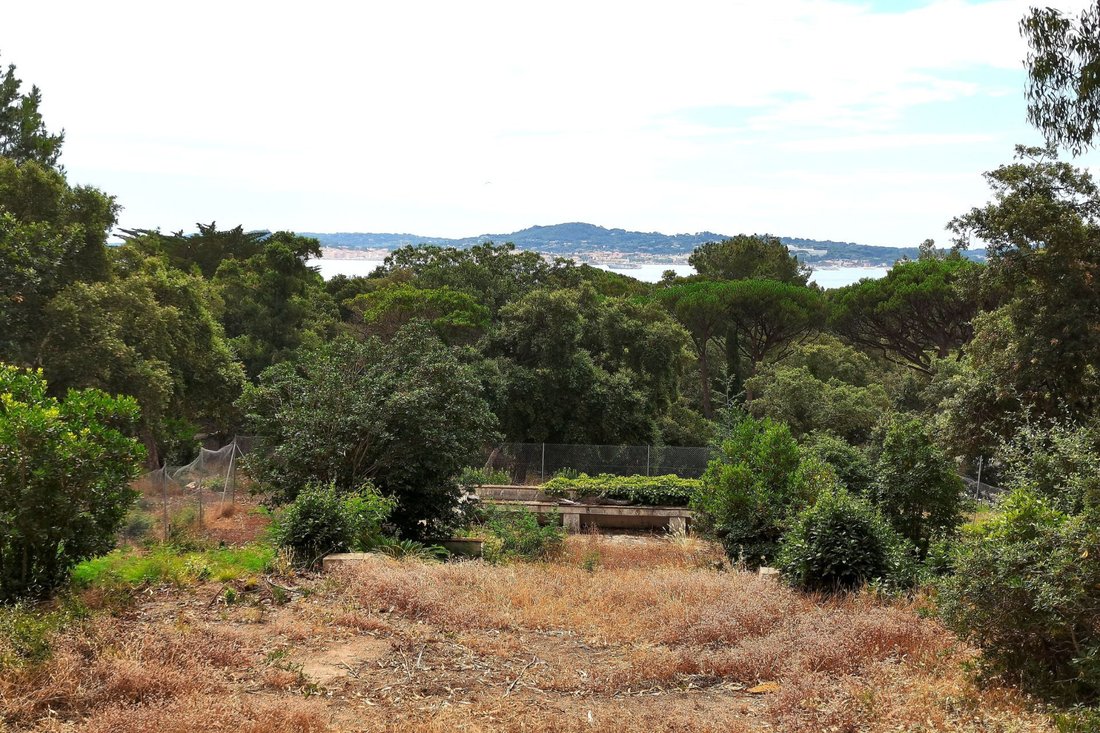 Land in Grimaud, Provence-Alpes-Côte d'Azur, France 1 - 16171297