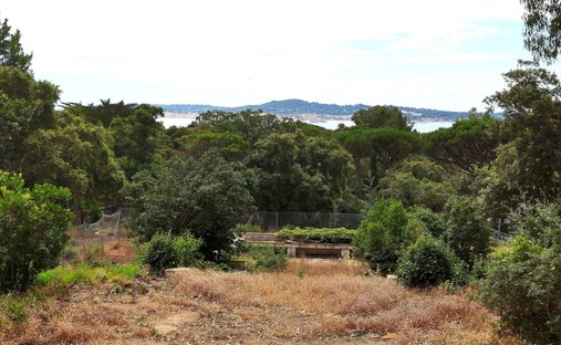 Land in Grimaud, Provence-Alpes-Côte d'Azur, France 1