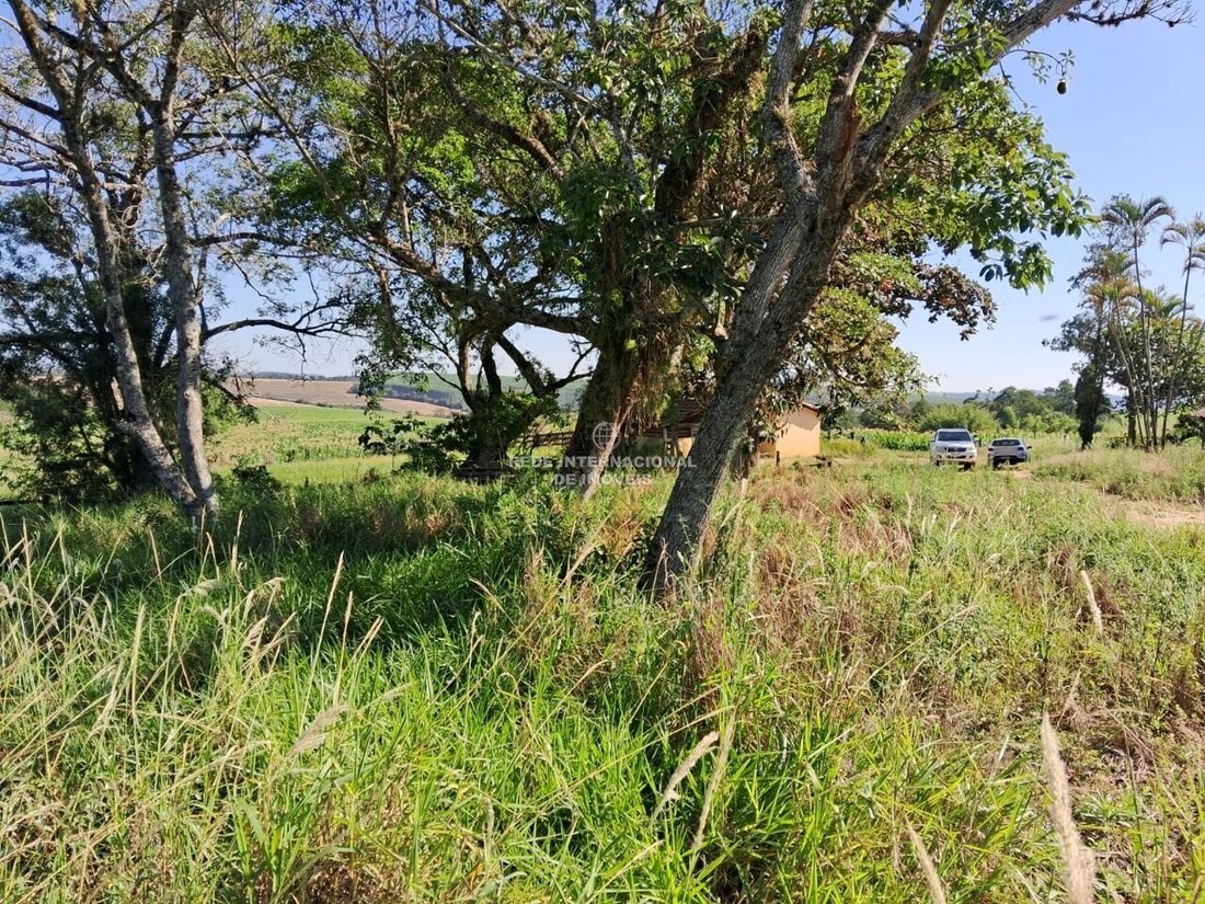 Farm Ranch in Ronco, State of Paraná, Brazil 3 - 16175692