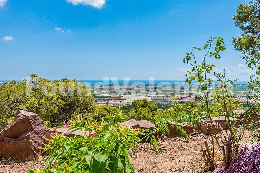 Villa in Pucol, Valencian Community, Spain 2 - 16170605