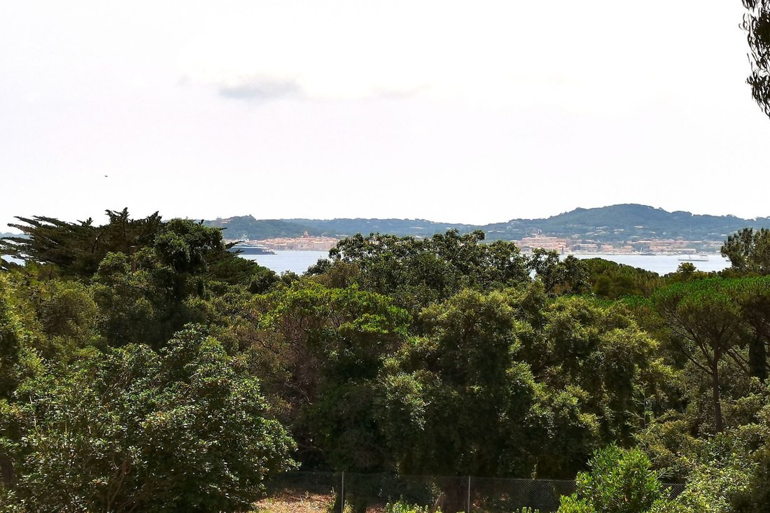 Land in Grimaud, Provence-Alpes-Côte d'Azur, France 2 - 16171297