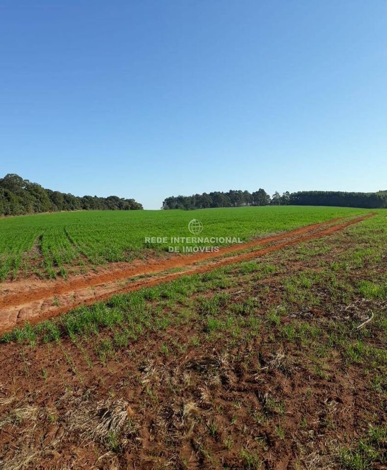 Farm Ranch in Itaberá, State of São Paulo, Brazil 2 - 16174858