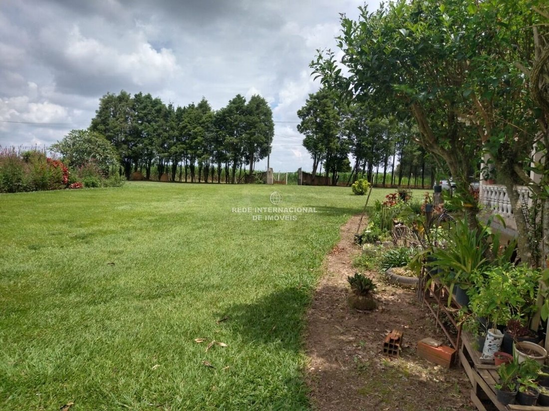 Farm Ranch in Iperozinho, State of São Paulo, Brazil 3 - 16175687