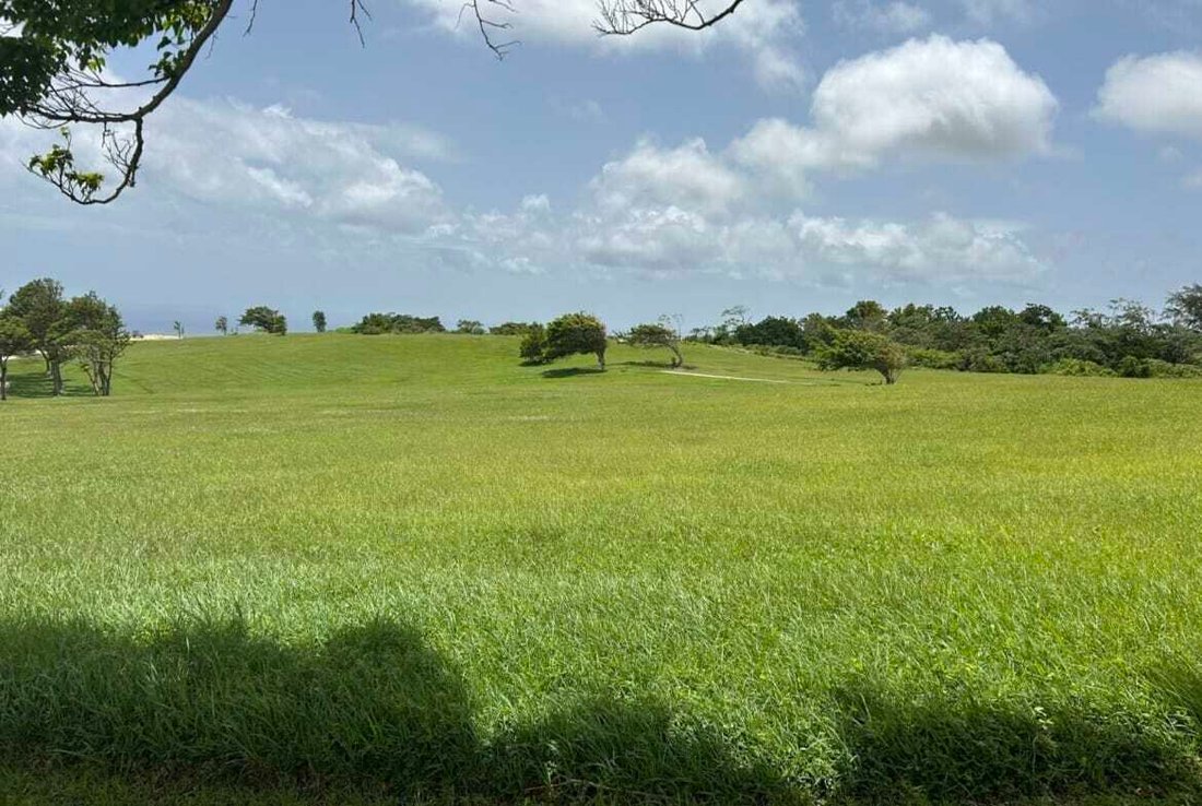 Estate in Bridgetown, Christ Church, Barbados 5 - 16172993