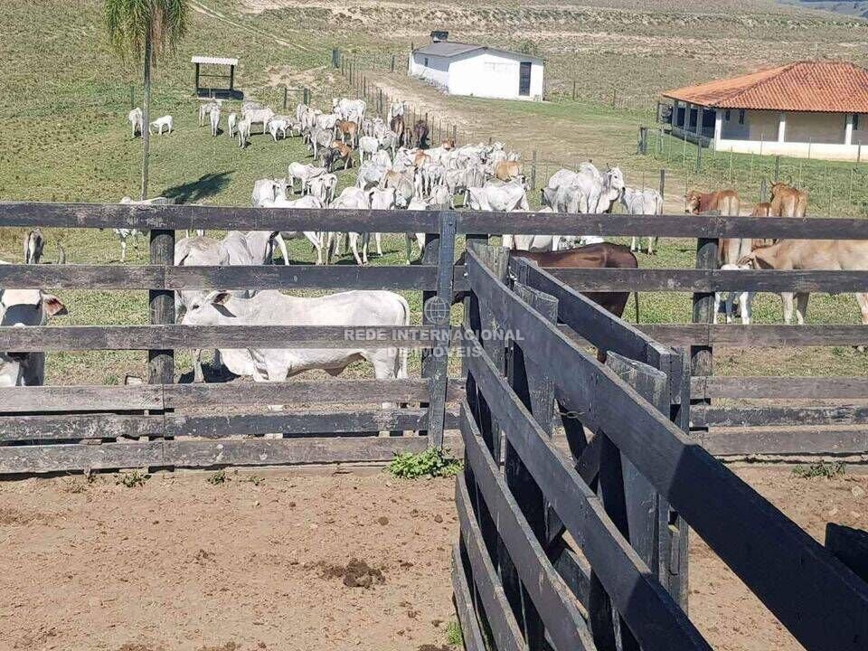 Farm Ranch in Rio de Janeiro, State of Rio de Janeiro, Brazil 2 - 16175649