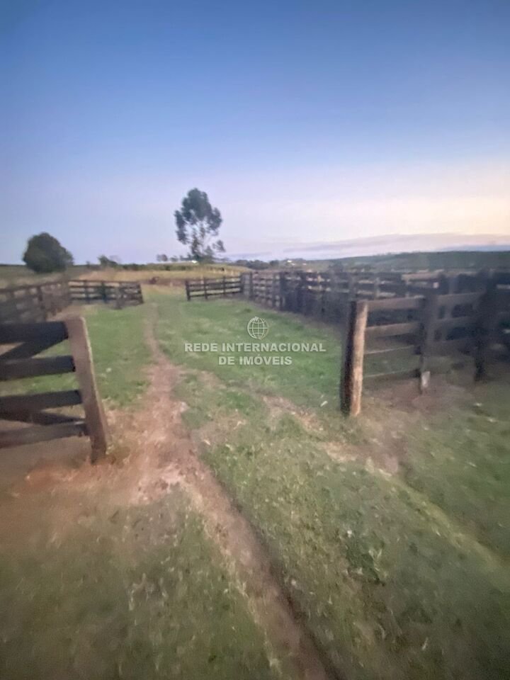 Farm Ranch in Sarapuí, State of São Paulo, Brazil 4 - 16174734