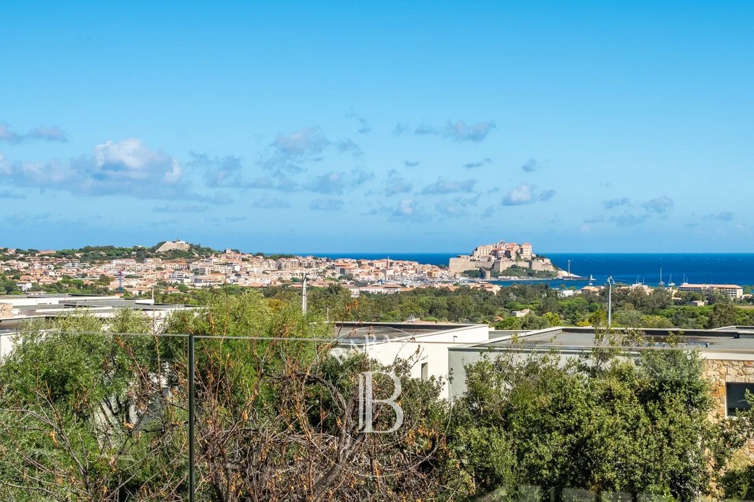 Villa in Secteur Périphérique, Calvi, France 3 - 16164970