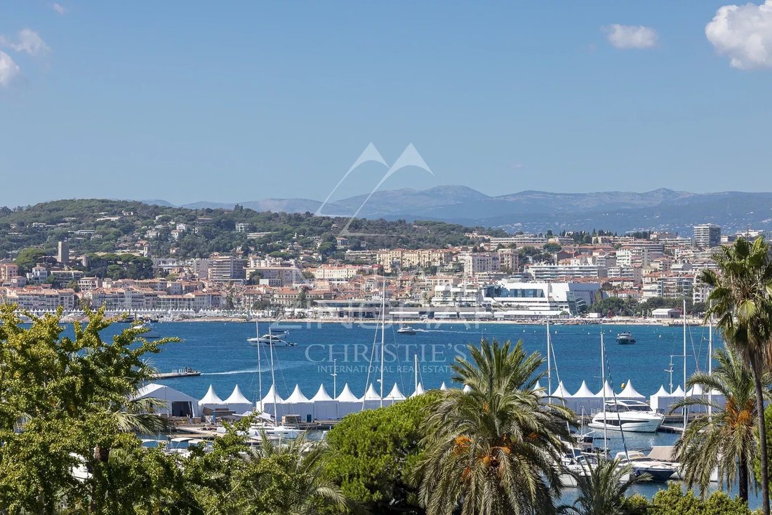 Apartment in Cannes, Provence-Alpes-Côte d'Azur, France 3 - 14236917