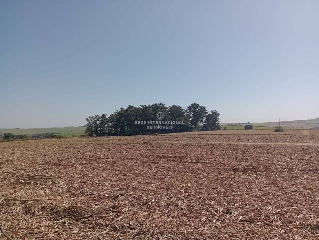 Farm Ranch in Rio de Janeiro, State of Rio de Janeiro, Brazil 4 - 16175694