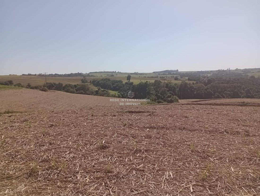 Farm Ranch in Rio de Janeiro, State of Rio de Janeiro, Brazil 5 - 16175694