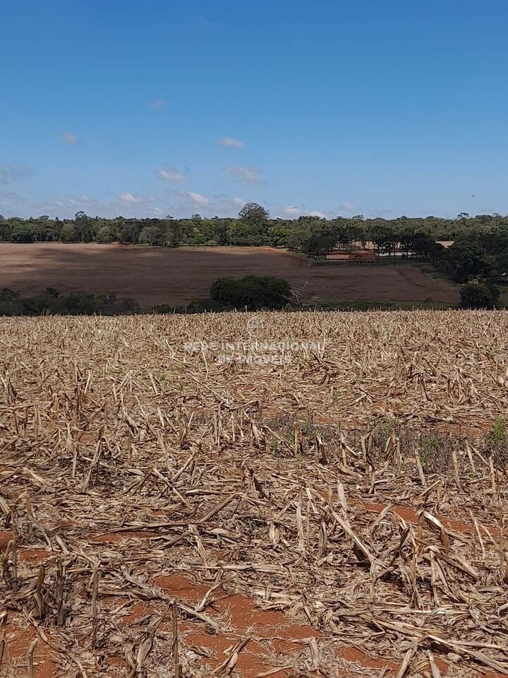Farm Ranch in Itapetininga, State of São Paulo, Brazil 5 - 16174546