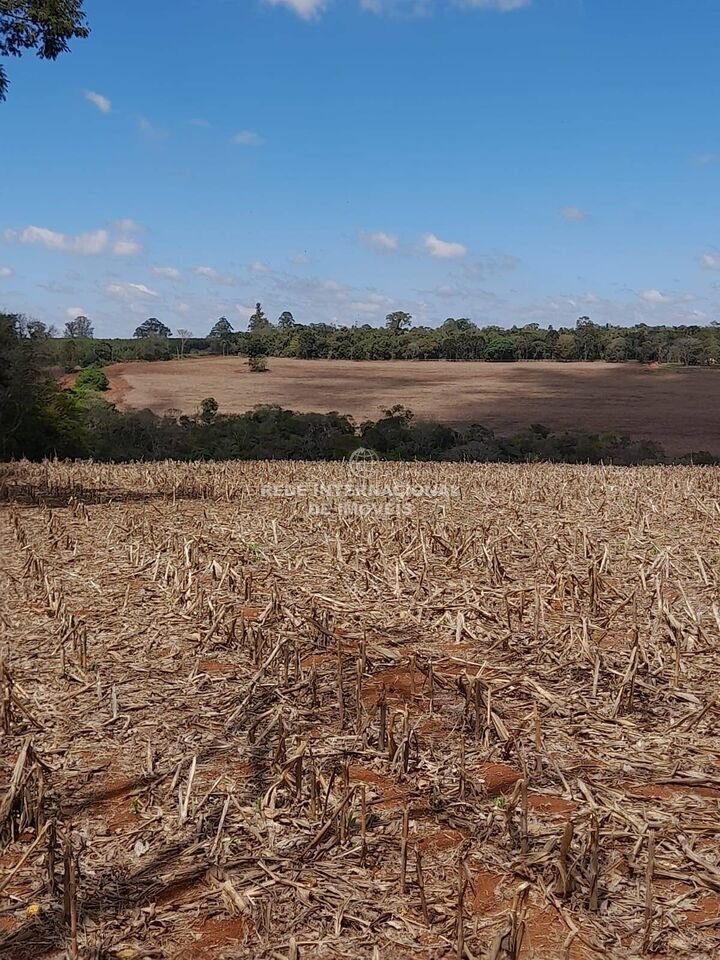 Farm Ranch in Itapetininga, State of São Paulo, Brazil 2 - 16174546
