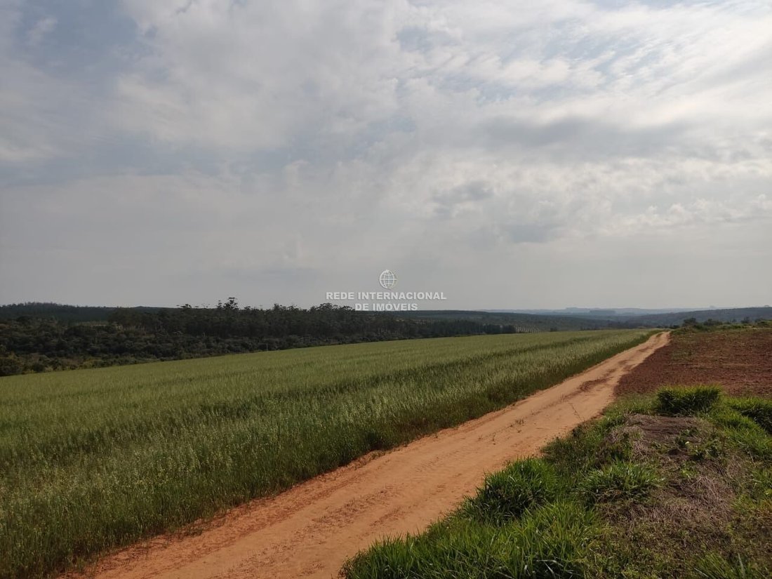 Corps de ferme à Ronco, Paraná, Brésil 5 - 16174748