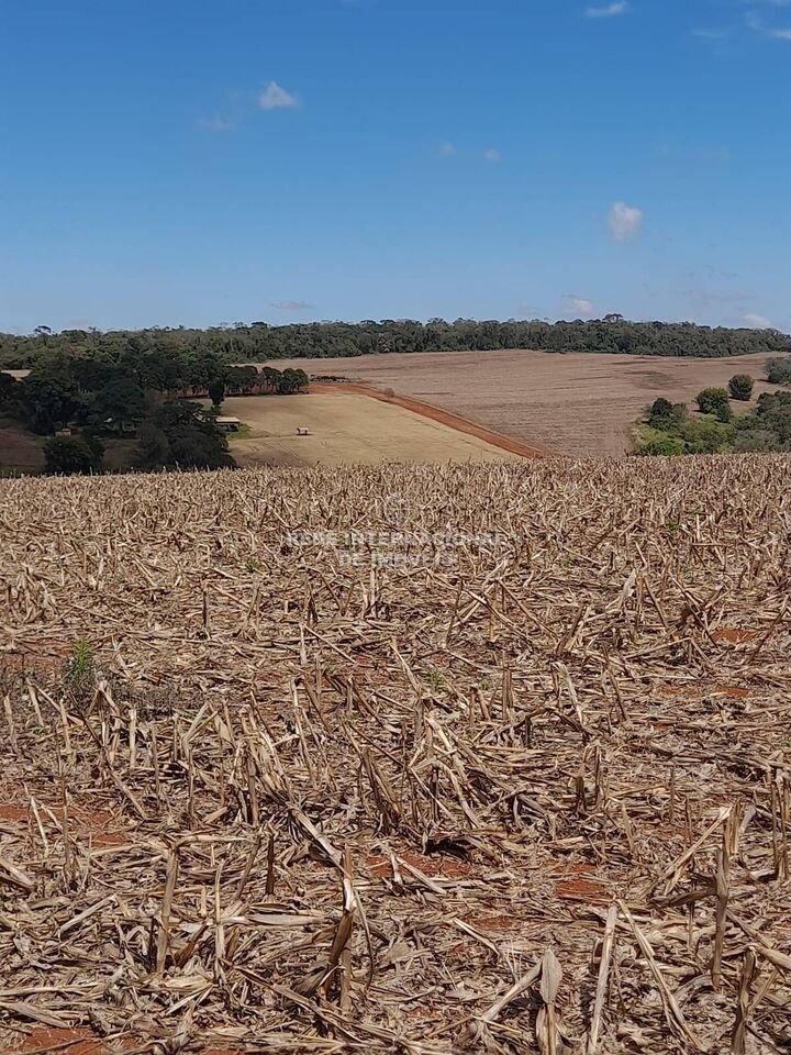 Farm Ranch in Itapetininga, State of São Paulo, Brazil 3 - 16174546