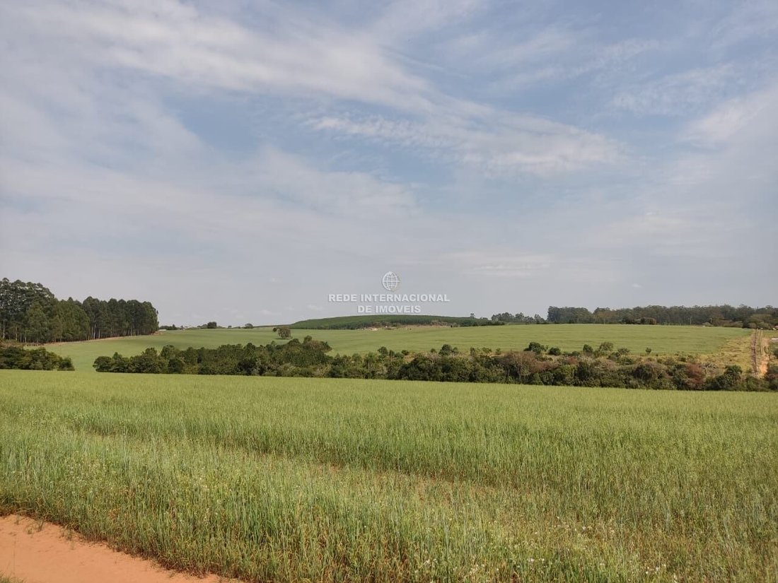 Corps de ferme à Ronco, Paraná, Brésil 1 - 16174748
