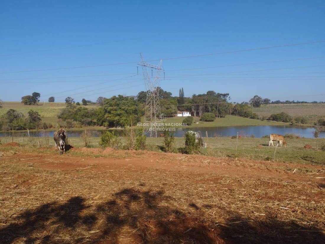 Farm Ranch in Rio de Janeiro, State of Rio de Janeiro, Brazil 1 - 16174515