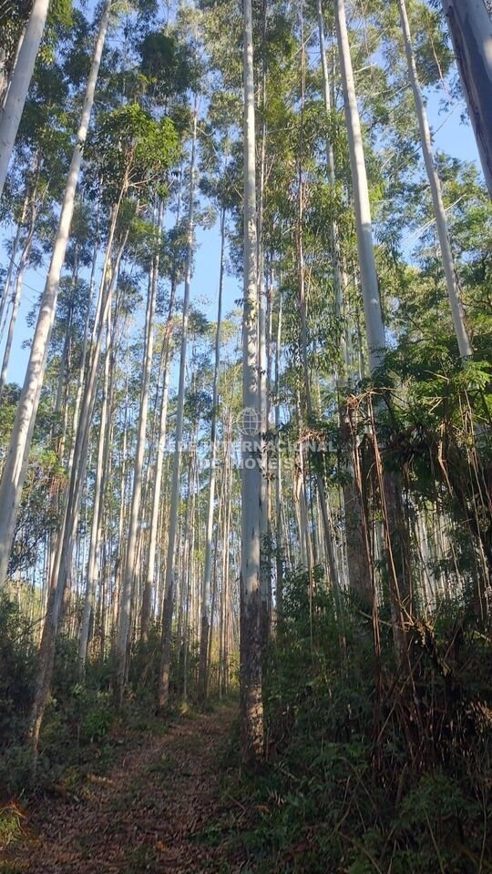 Farm Ranch in Rio de Janeiro, State of Rio de Janeiro, Brazil 1 - 16174520