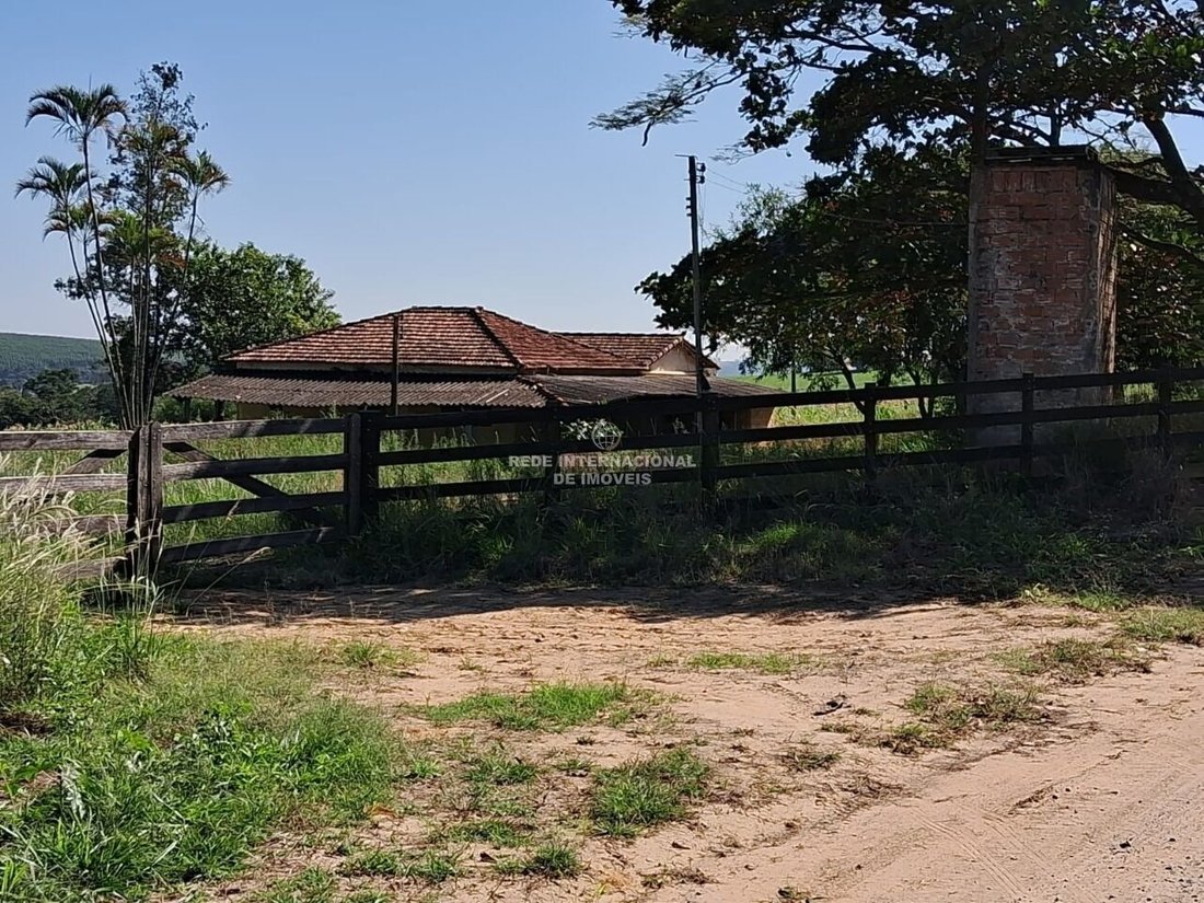 Farm Ranch in Ronco, State of Paraná, Brazil 1 - 16175692