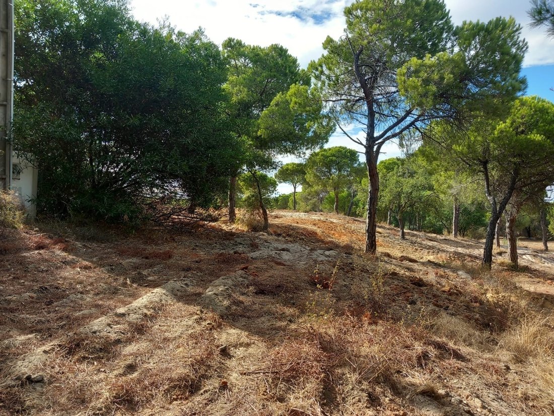 Land in Almancil, Algarve, Portugal 5 - 16172337