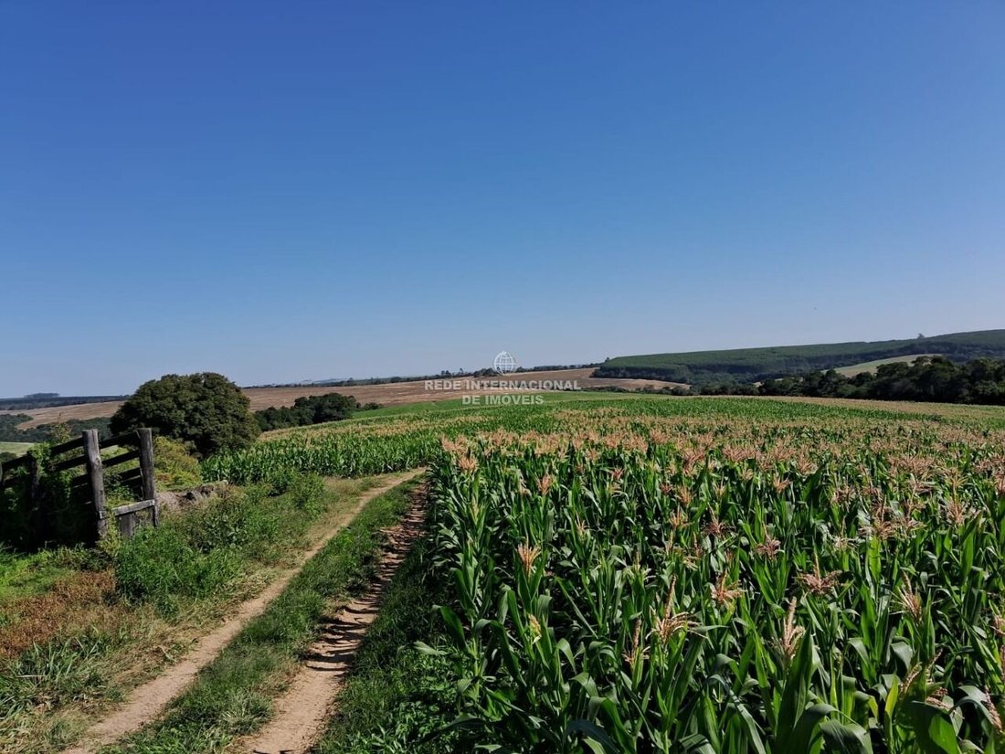 Farm Ranch in Ronco, State of Paraná, Brazil 4 - 16175692