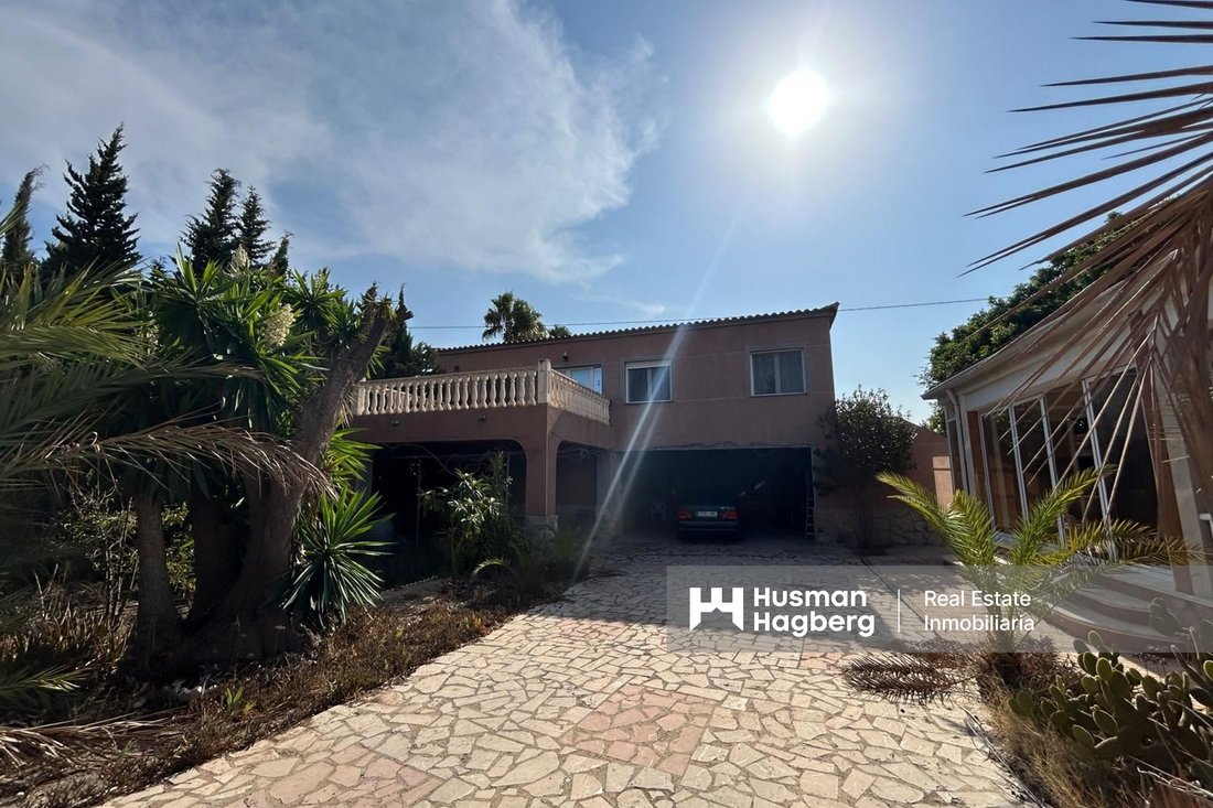 Villa in Elx / Elche, Valencian Community, Spain 4 - 14667337