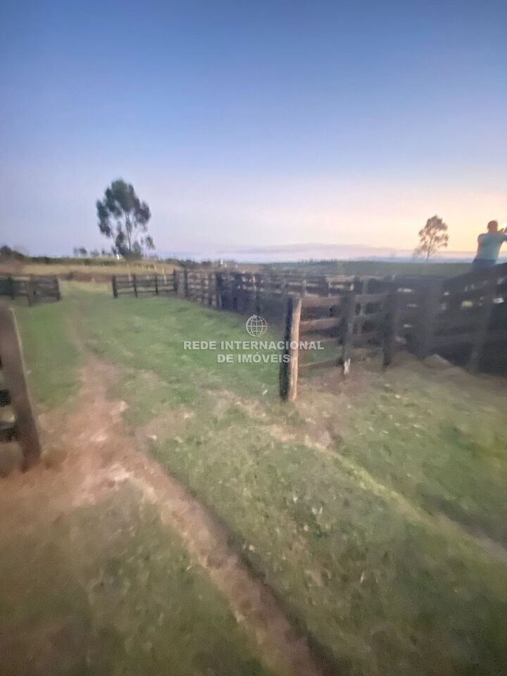 Farm Ranch in Sarapuí, State of São Paulo, Brazil 2 - 16174734