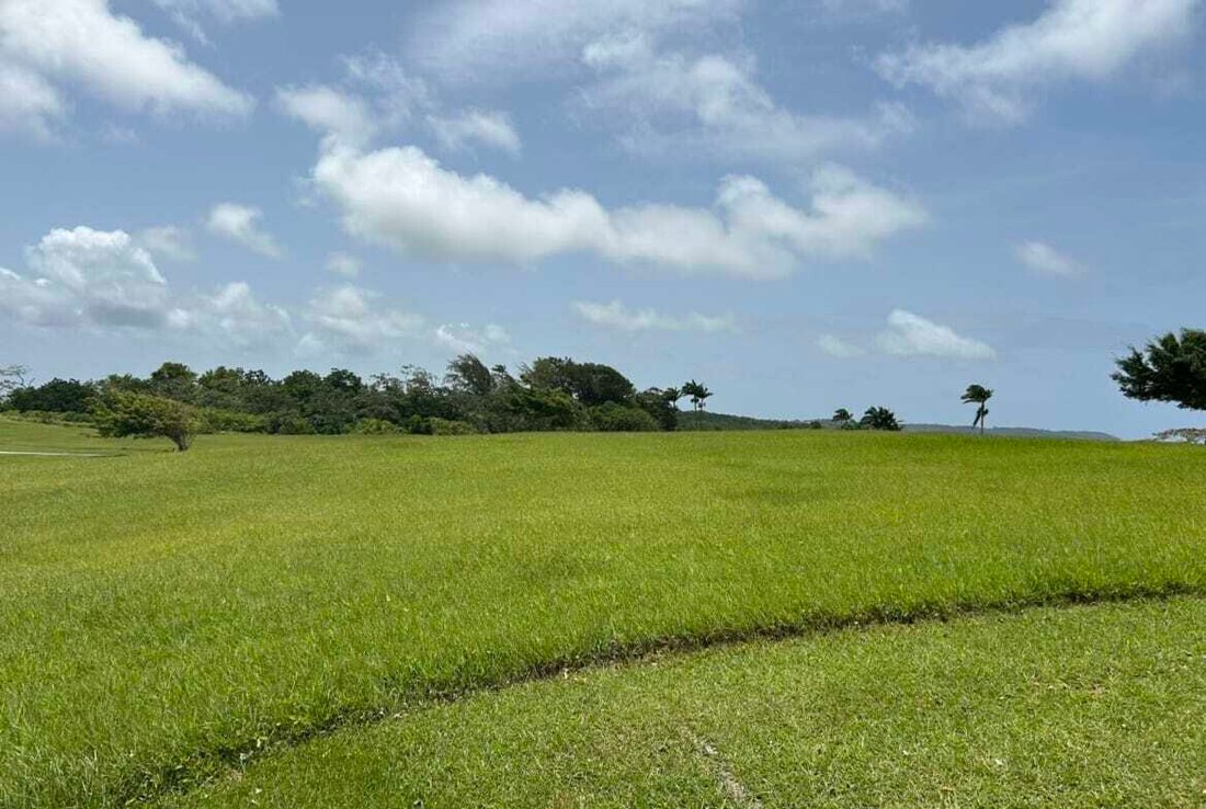 Estate in Bridgetown, Christ Church, Barbados 5 - 16172993