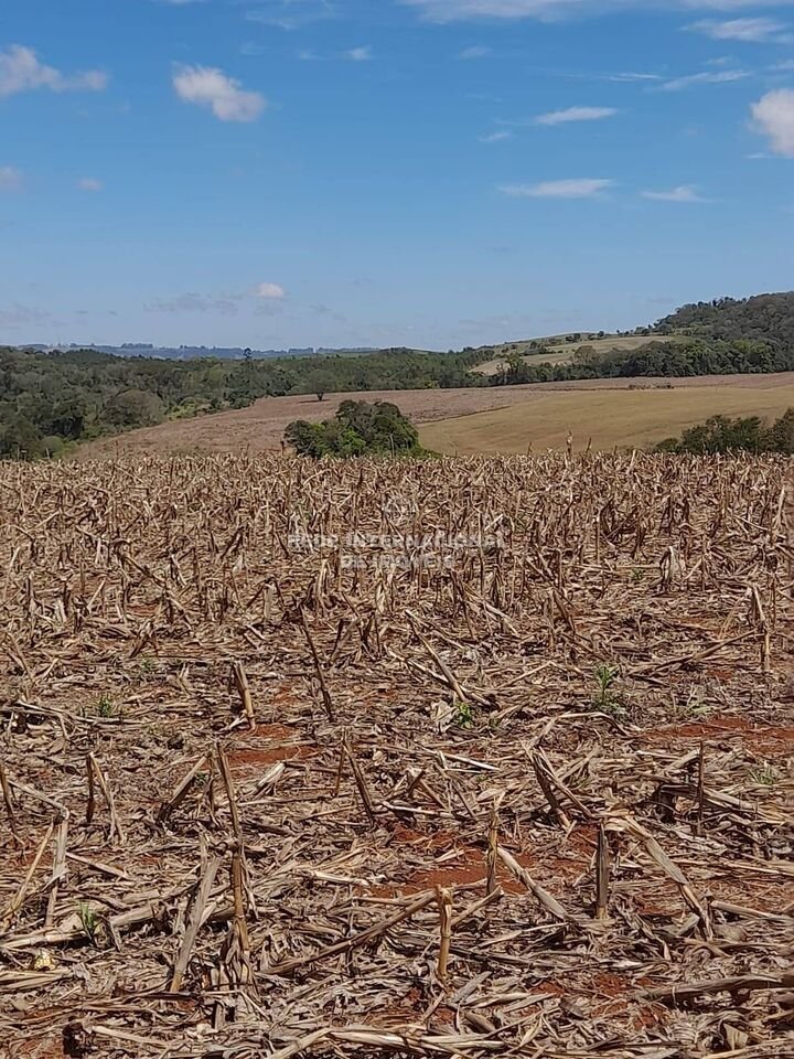 Farm Ranch in Itapetininga, State of São Paulo, Brazil 4 - 16174546