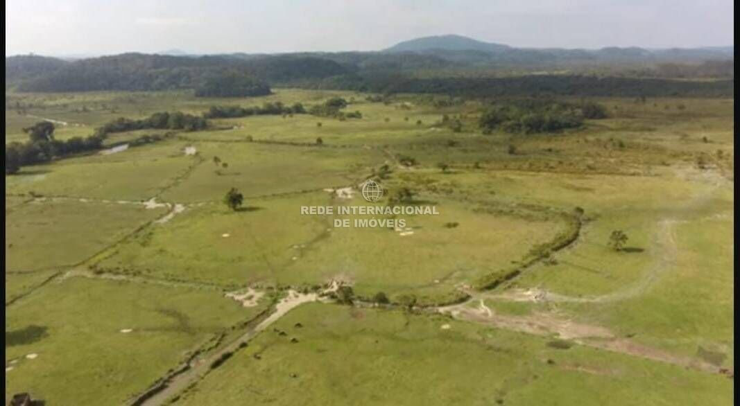 Farm Ranch in Sete Barras, State of São Paulo, Brazil 4 - 16174816