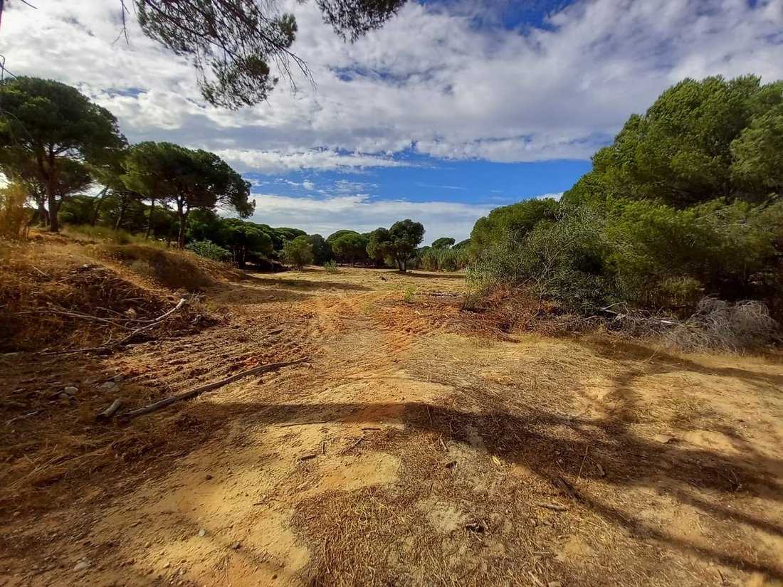 Land in Almancil, Algarve, Portugal 4 - 16172337
