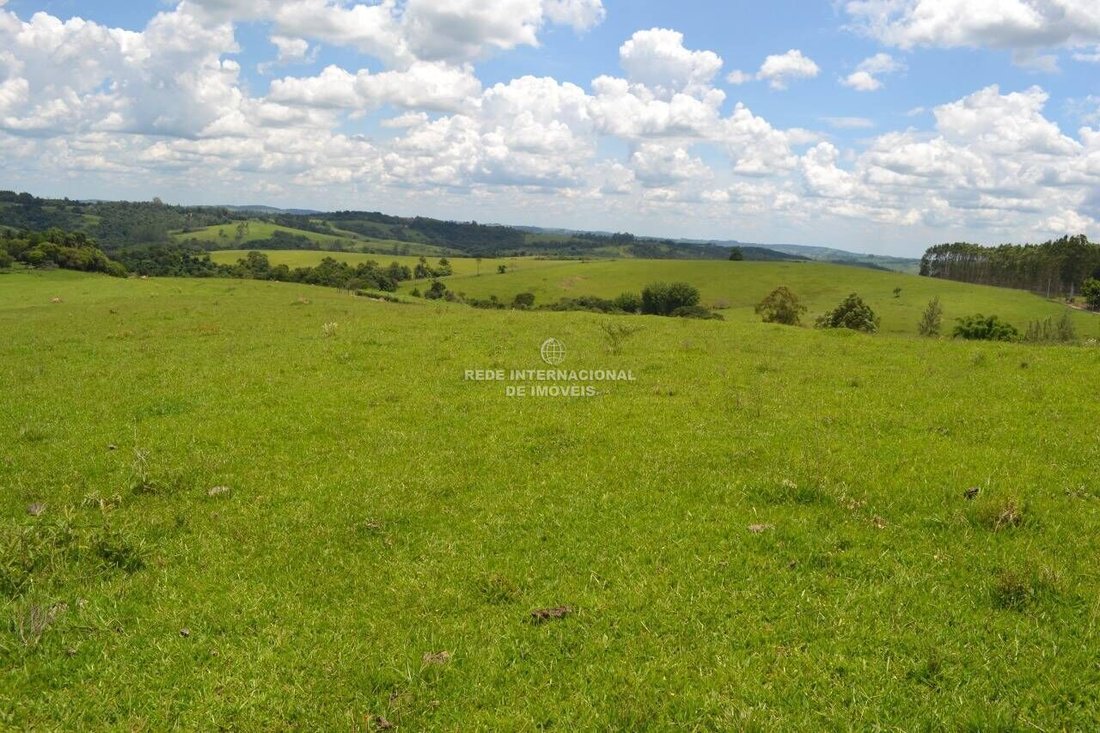 Farm Ranch in Rio de Janeiro, State of Rio de Janeiro, Brazil 3 - 16174501