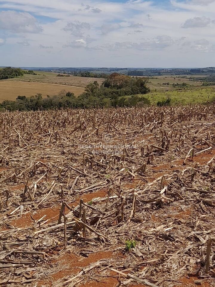 Farm Ranch in Itapetininga, State of São Paulo, Brazil 1 - 16174546