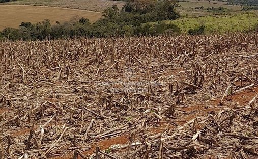 Farm Ranch in Itapetininga, State of São Paulo, Brazil 1