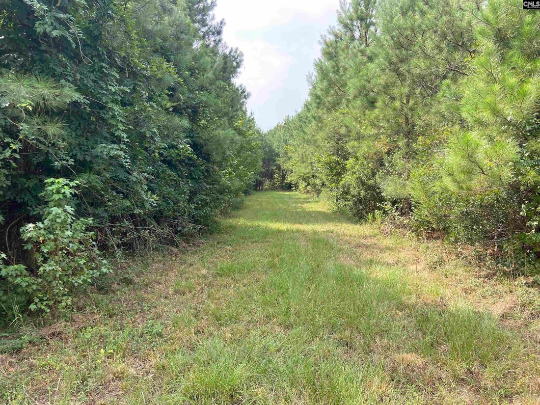 Land in Rembert, South Carolina, United States 4 - 16173325
