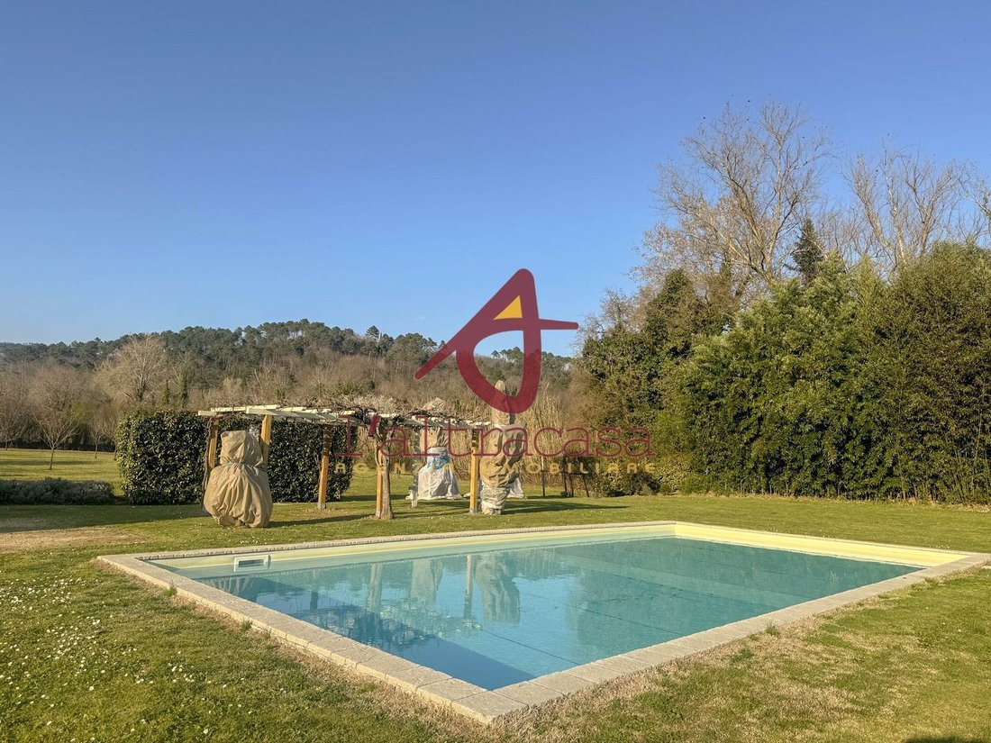 Area Monte San Quirico - Sant'Alessio, Lucca, Tuscany 5 - 16177005