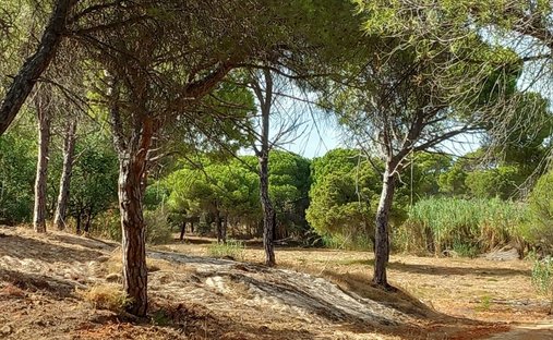 Land in Almancil, Algarve, Portugal 1