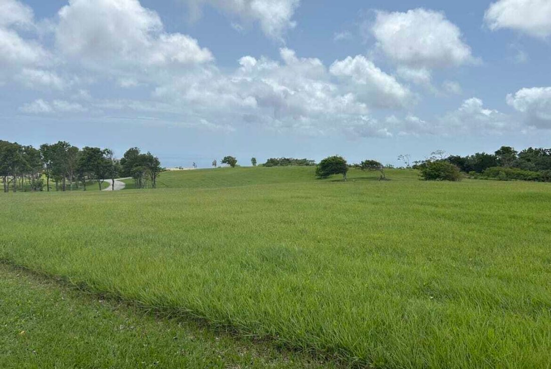 Estate in Bridgetown, Christ Church, Barbados 2 - 16172993