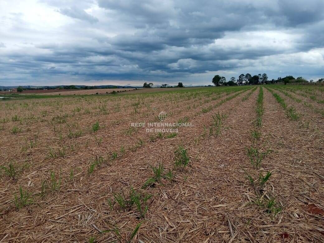 Farm Ranch in Bairro Rural, Brazil 1 - 16175631
