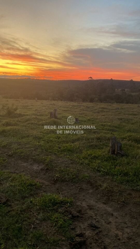 Farm Ranch in Sarapuí, State of São Paulo, Brazil 5 - 16174734