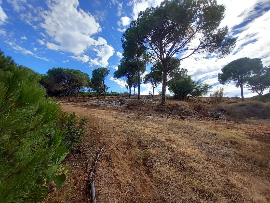Land in Almancil, Algarve, Portugal 3 - 16172337