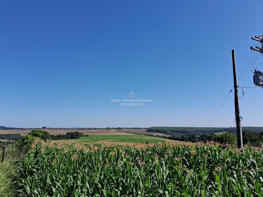 Farm Ranch in Ronco, State of Paraná, Brazil 2 - 16175692