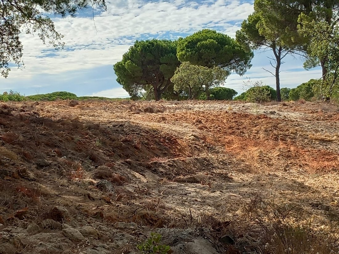 Land in Almancil, Algarve, Portugal 2 - 16172337