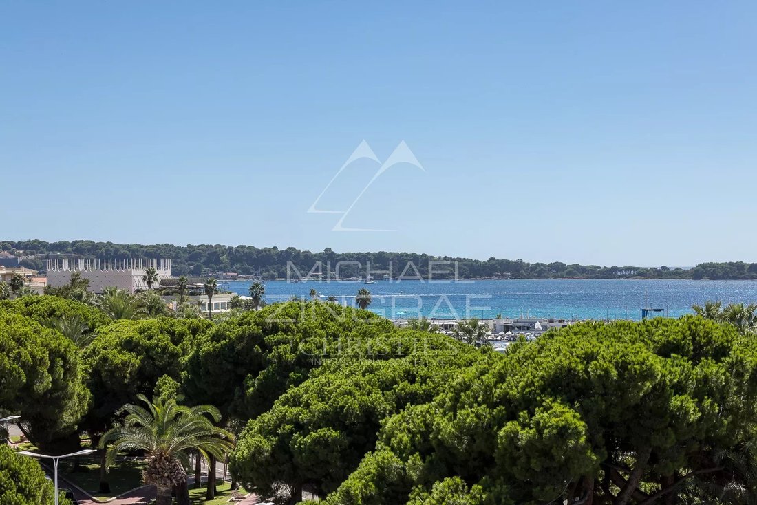 Apartment in Cannes, Provence-Alpes-Côte d'Azur, France 4 - 14236917