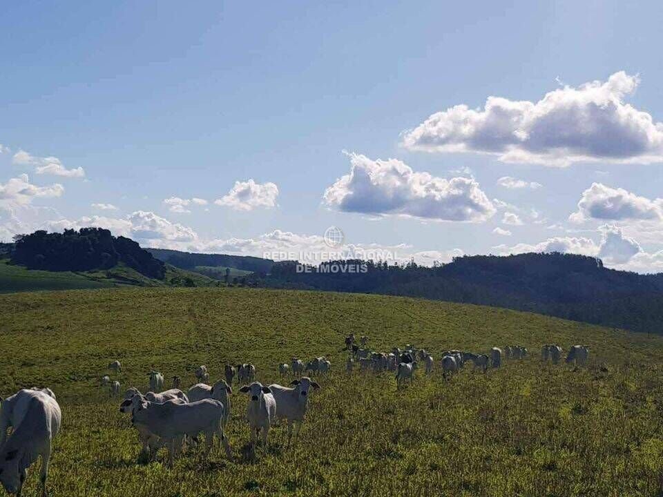 Farm Ranch in Rio de Janeiro, State of Rio de Janeiro, Brazil 5 - 16175649