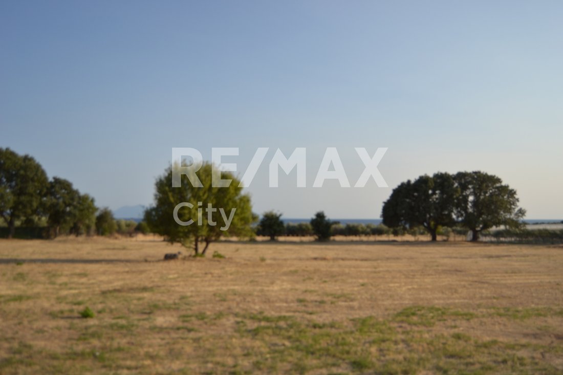 Villa in Alexandroupoli, Macedonia and Thrace, Greece 3 - 16173456