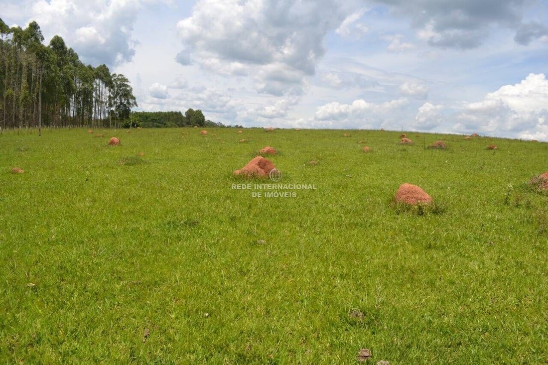 Farm Ranch in Rio de Janeiro, State of Rio de Janeiro, Brazil 5 - 16174501